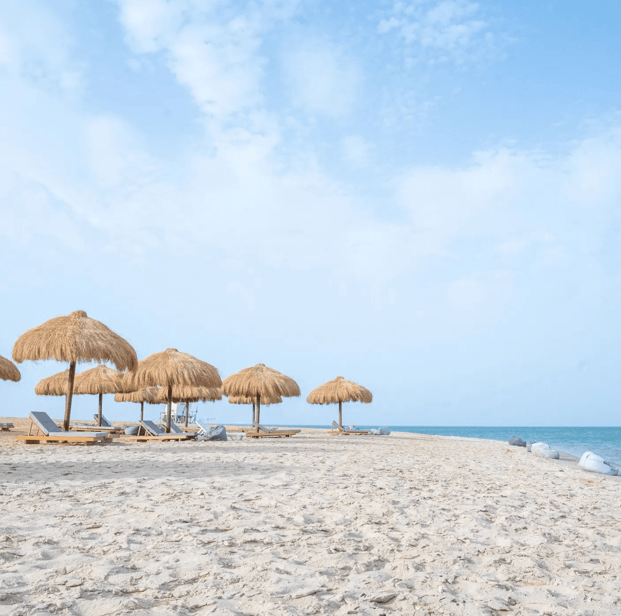 Fishing Trips from Porto Sokhna Marina